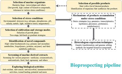 Frontiers | A New Network For The Advancement Of Marine Biotechnology ...